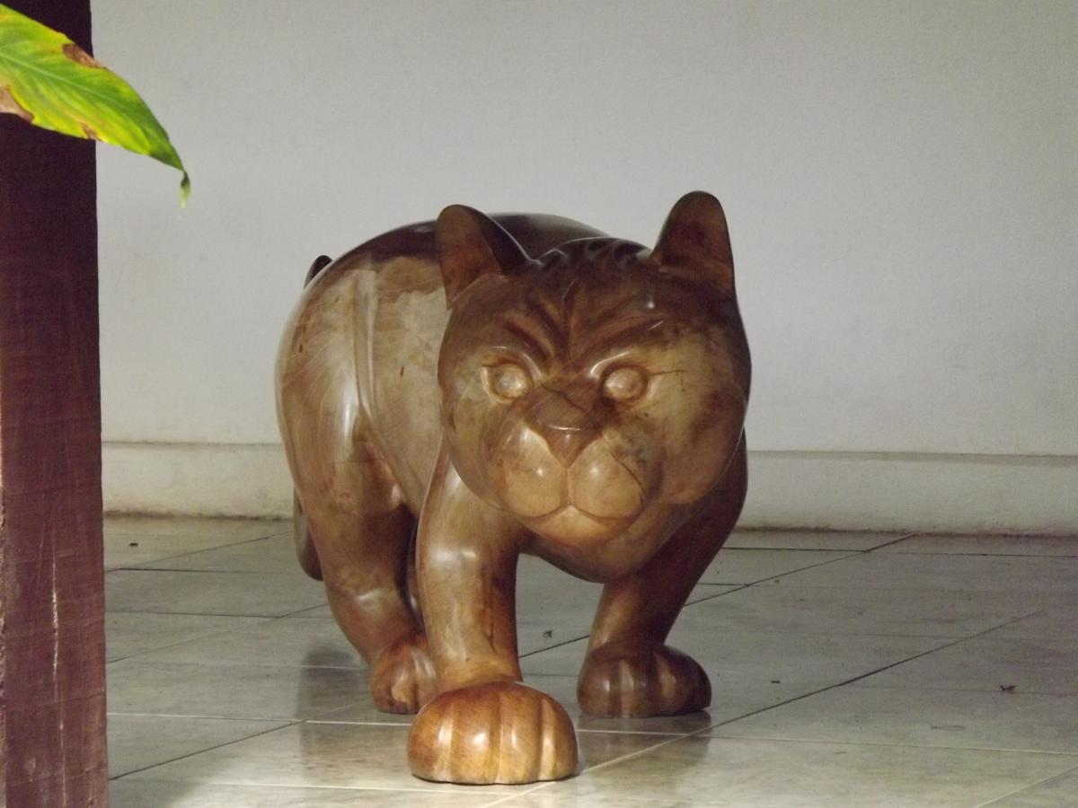 Pousada Catavento Сакуарема Экстерьер фото